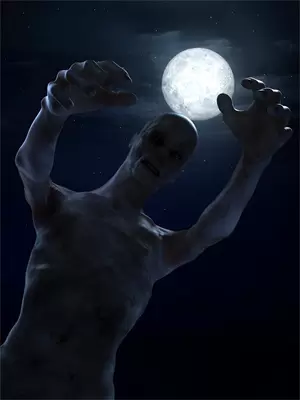 归尘