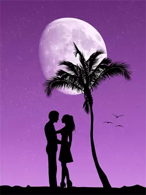 穿越女错过穿越回现代的机会