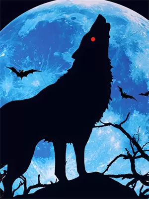 地煞七十二变肉