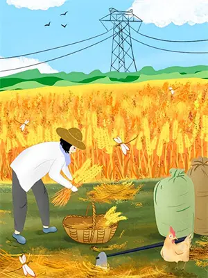 重生从1993开始小说