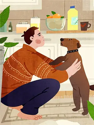 遇到导盲犬的四大原则
